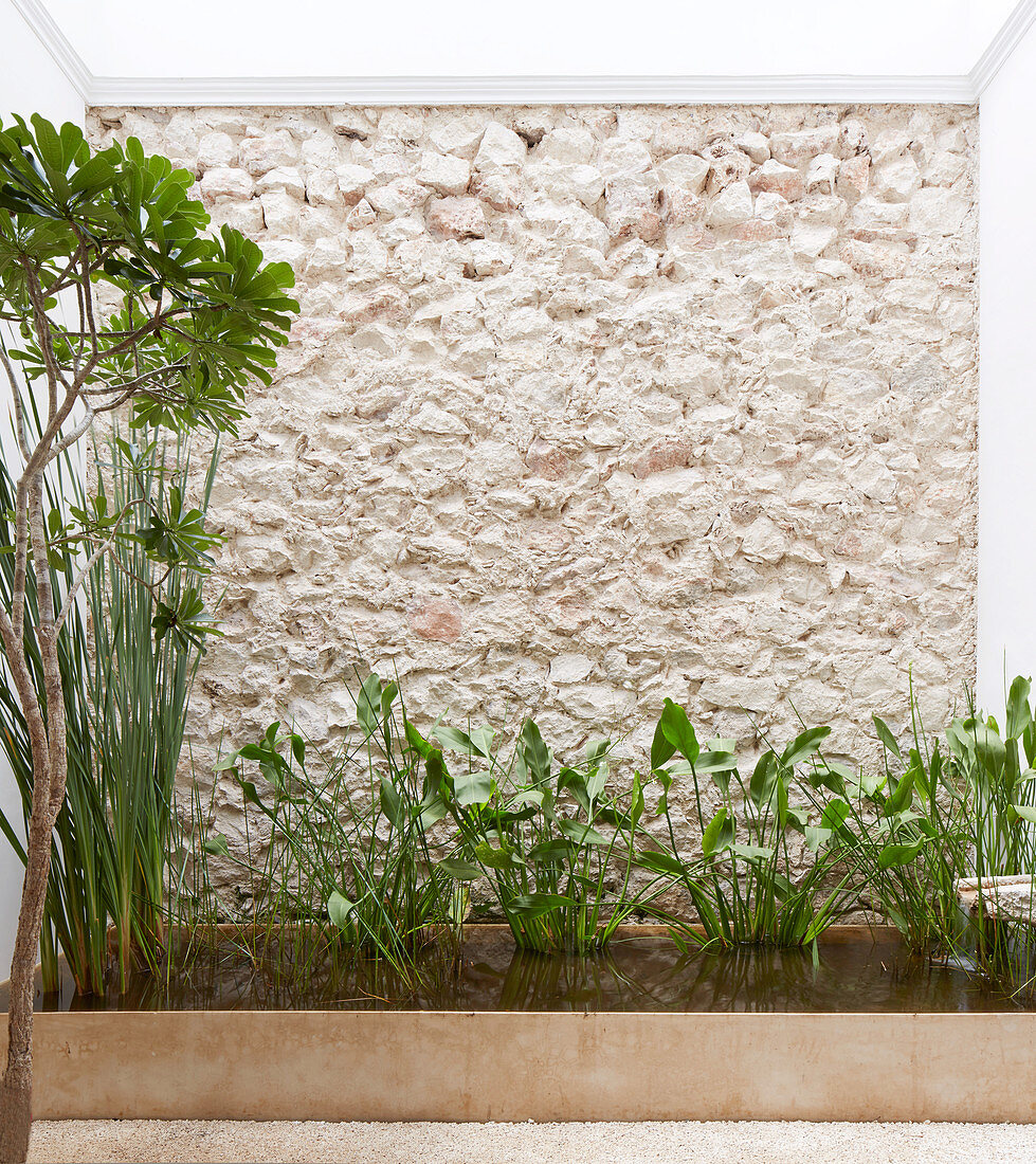 Plants in rectangular pond against stone wall and house wall