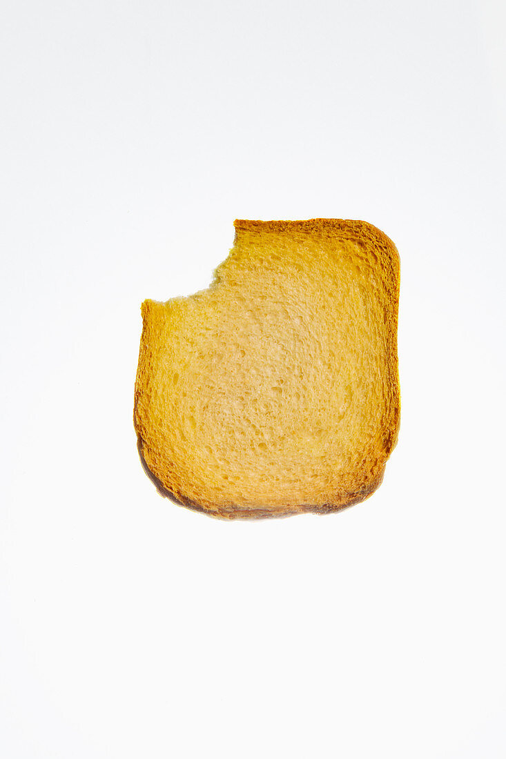 A slice of zwieback (rusk) with a bite missing, on white background
