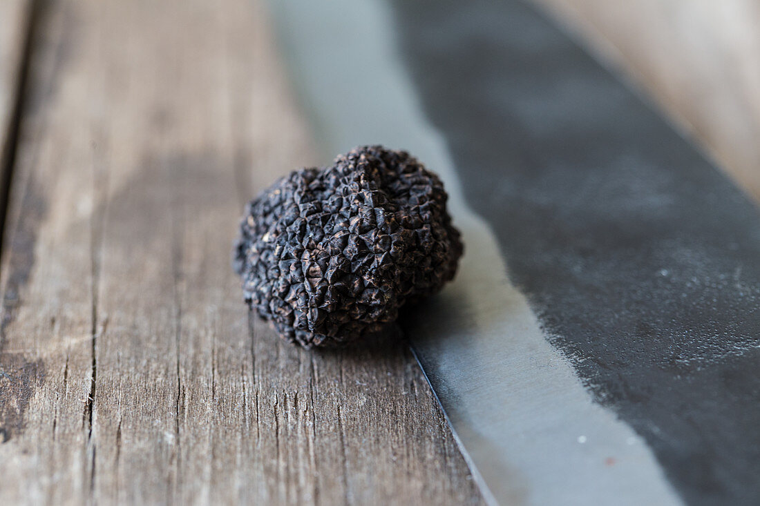 A black truffle on a forged knife edge