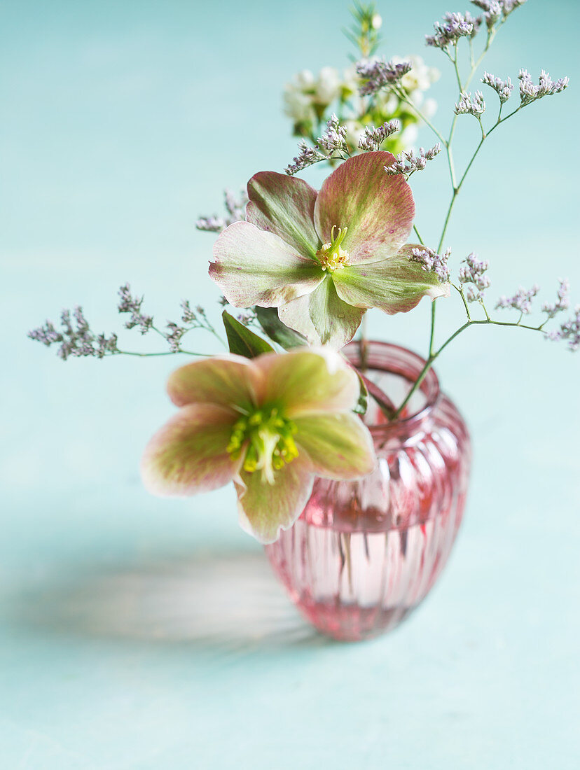 Kleiner Blumenstrauß mit Lenzrosen