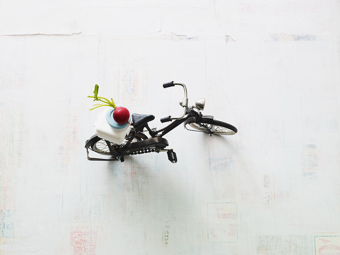 A symbolic image for salads: radishes on a toy bike