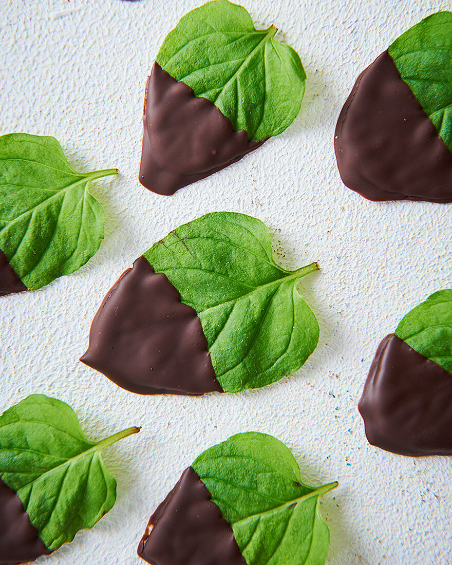 Mint leaves dipped in chocolate