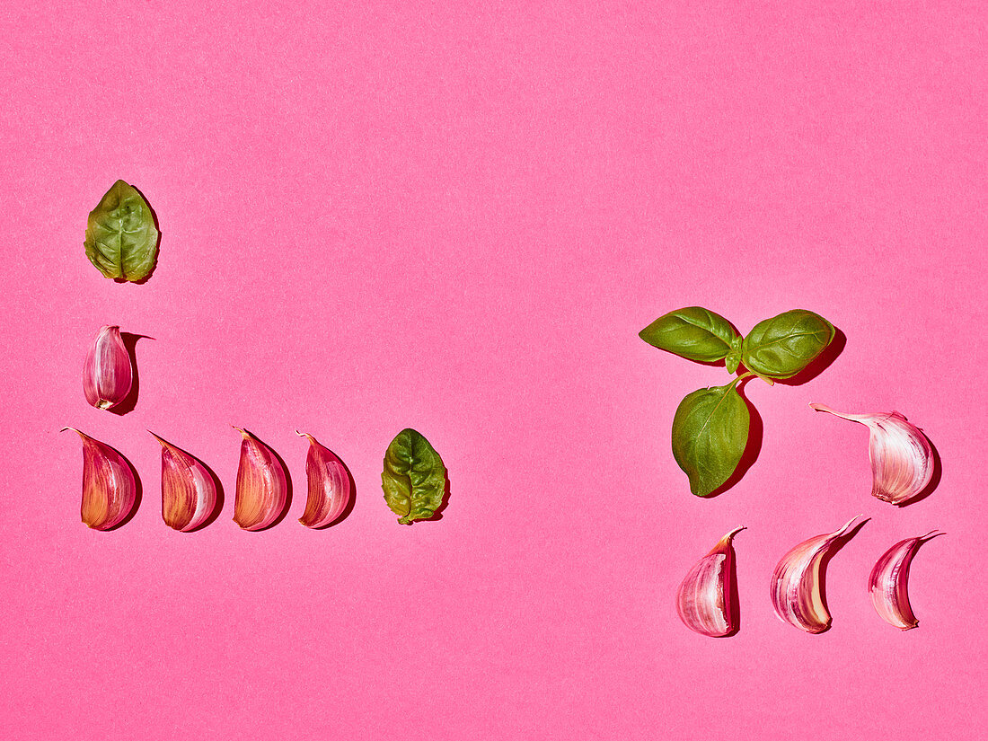 Basil and garlic cloves on a pink surface