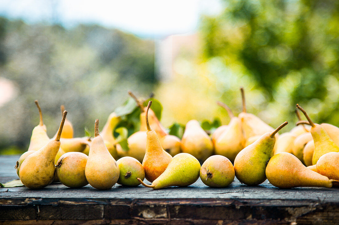 Pears on a wooden table outside