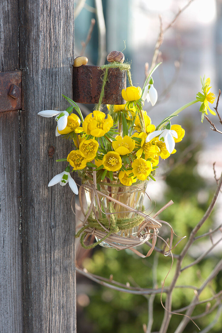 A small bouquet of Winter aconite and snowdrops