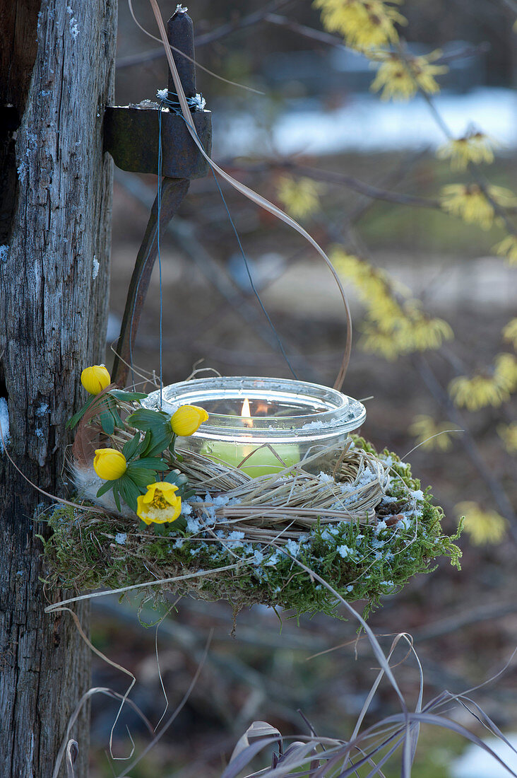 Mason jar as a lantern with flowers from winter aconite