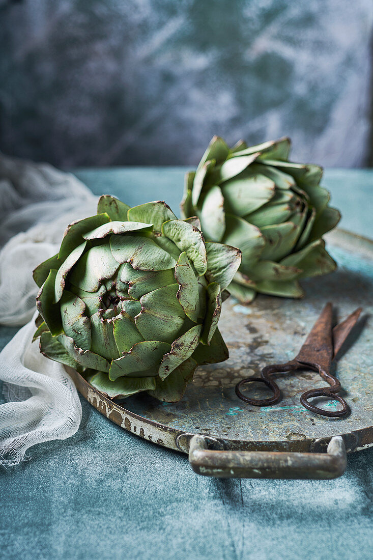 Still life of artichokes with knife