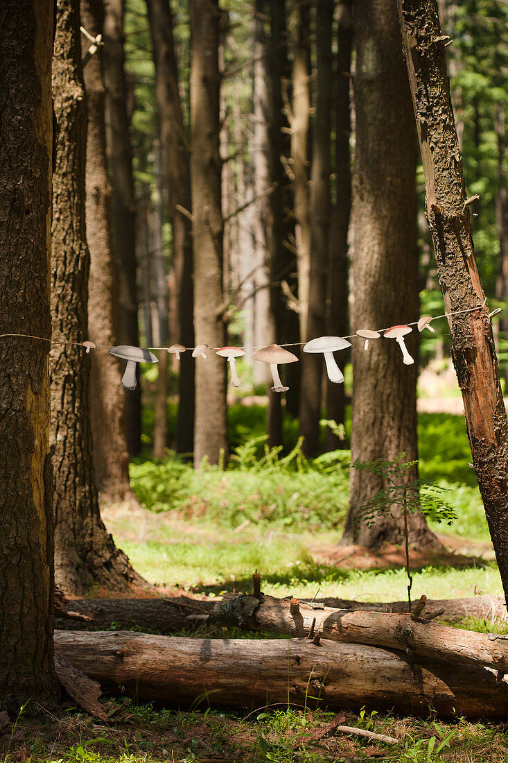 Girlande aus Papierpilzen hängt zwischen zwei Bäumen im Wald