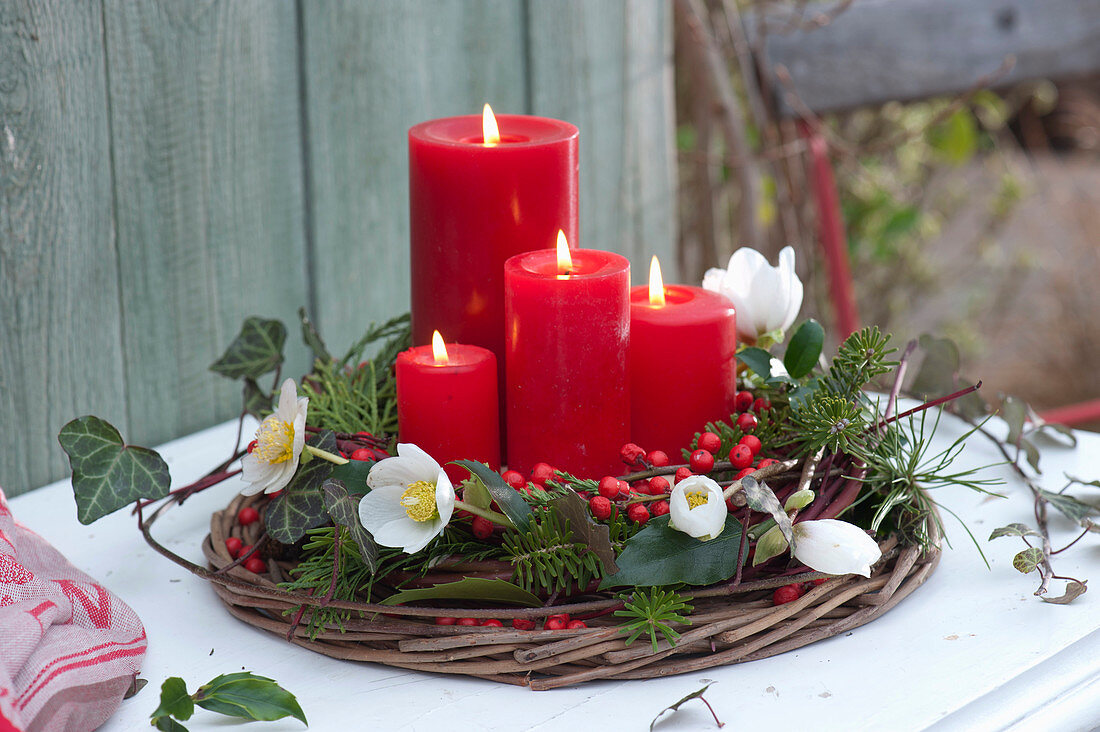 Advent wreath with flowers of Christmas rose and red berries