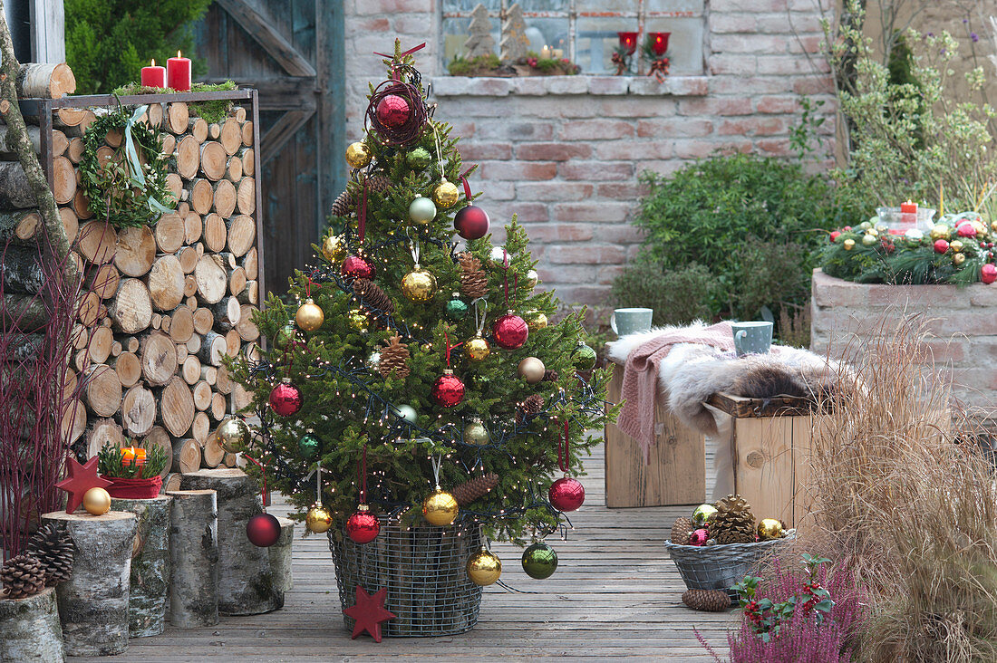Weihnachtsbaum im Korb mit Birkenst 228 mmen Bild kaufen 12477605 Gartenbildagentur Friedrich 