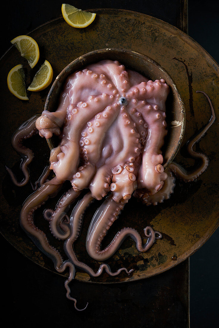 Still life of fresh octopus with lemon