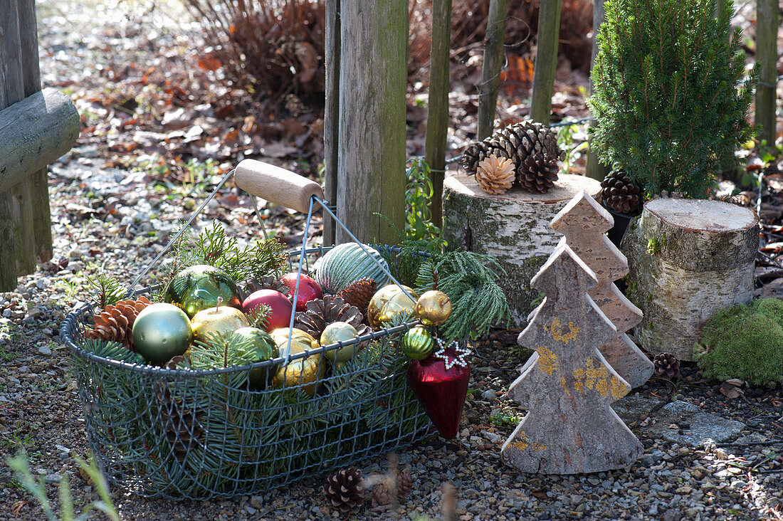 Korb mit Christbaumkugeln als weihnachtliche Deko im Garten