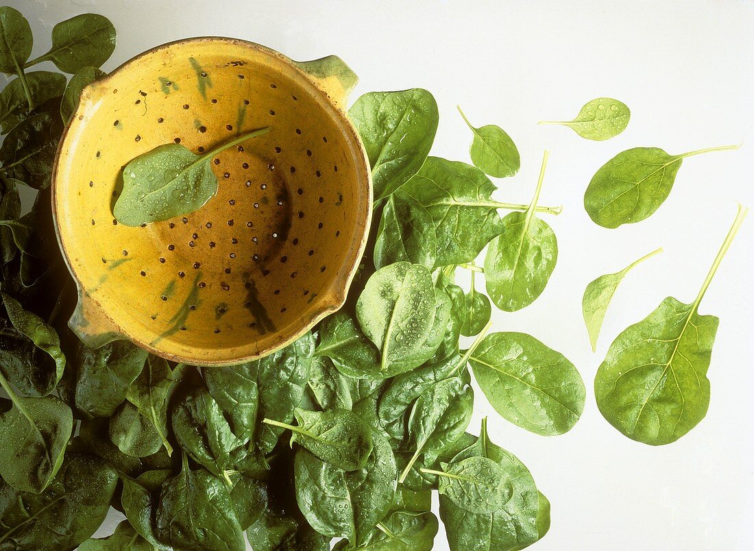 Many spinach leaves around a colander