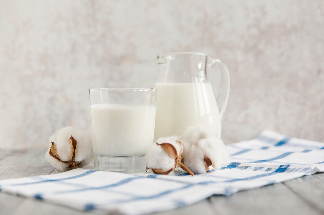 Milk in a glass and a pitcher, with cotton flowers