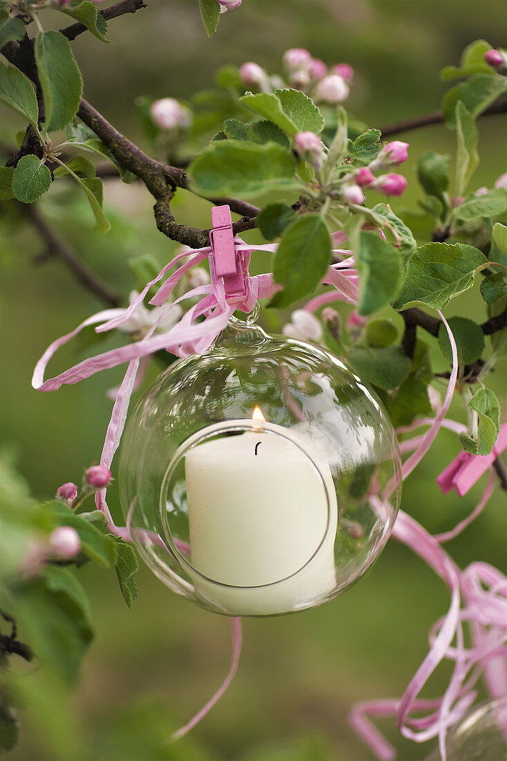 Glaskugel mit Kerze am blühenden Kirschbaum