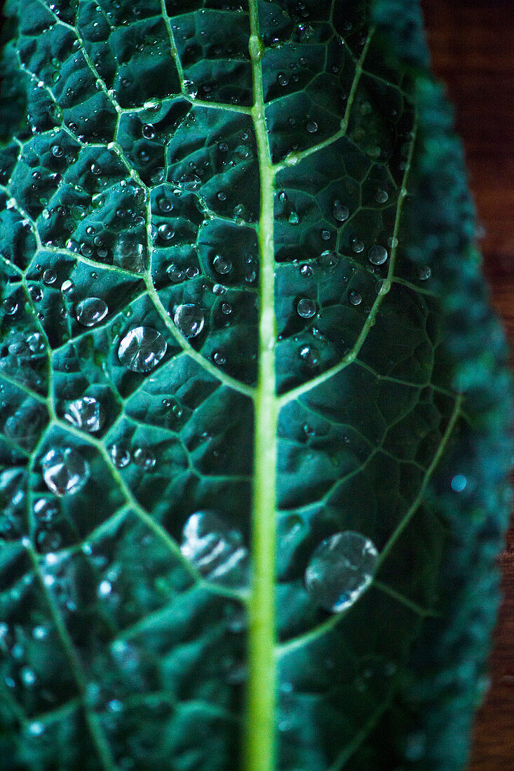 Kale Leaf on Slate with Water Droplets