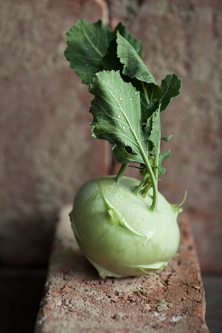 A kohlrabi with drops of water