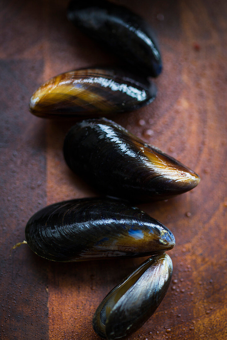 Several mussels on a wooden background
