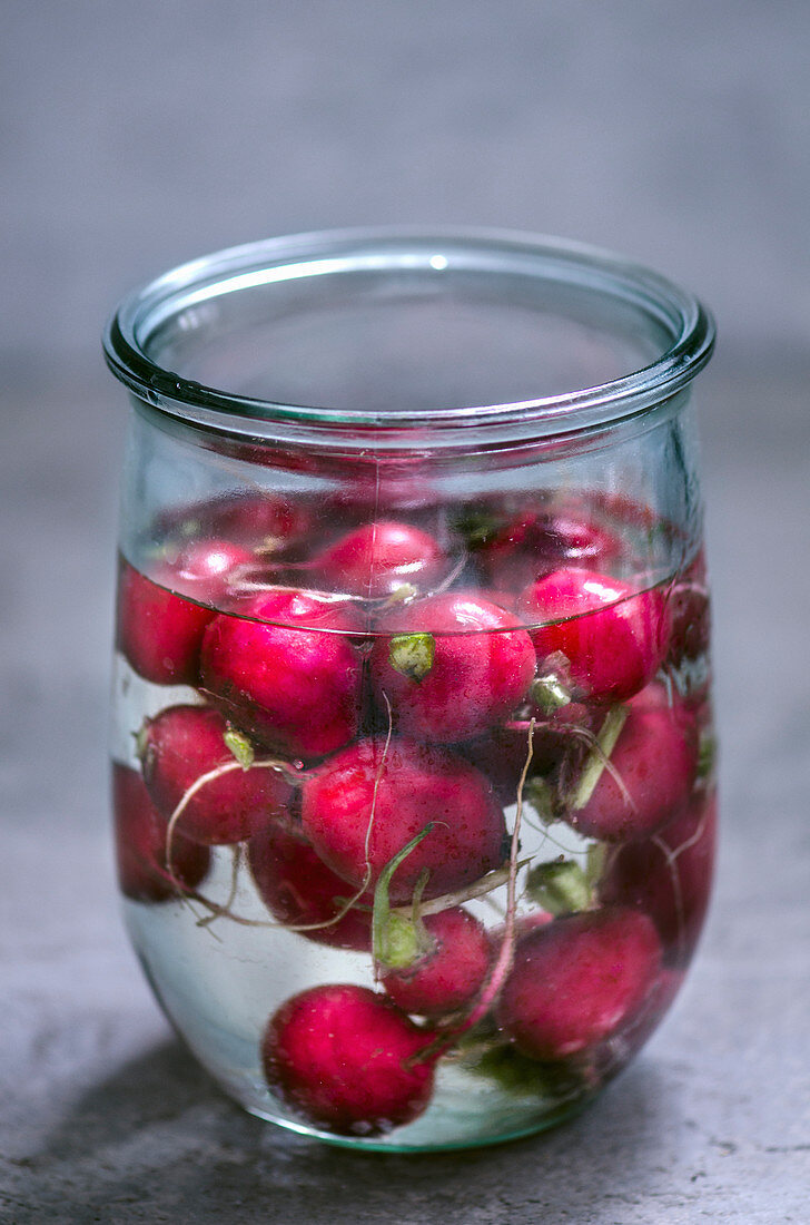 Radishes in a glass of water