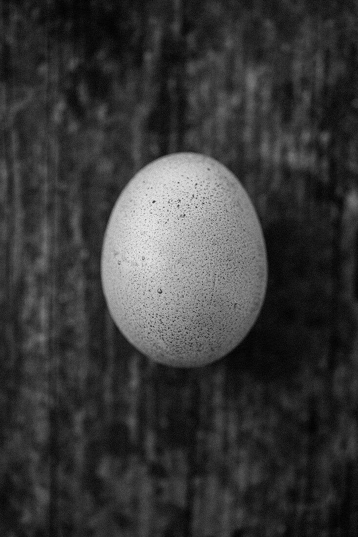 Ein Ei (Aufsicht)