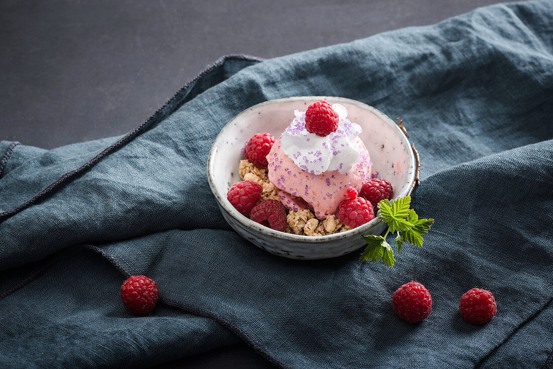 Veganes Himbeereis mit Sojaschlagcreme und Kokoscrunch