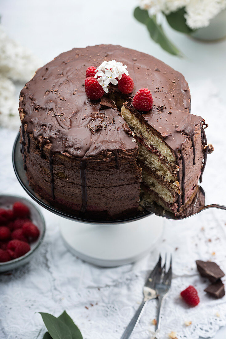 Vegane Torte mit Schokoladencreme und Himbeerpüree