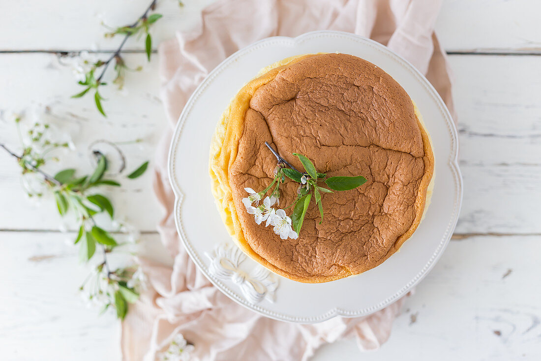 Cotton soft japanese cheesecake