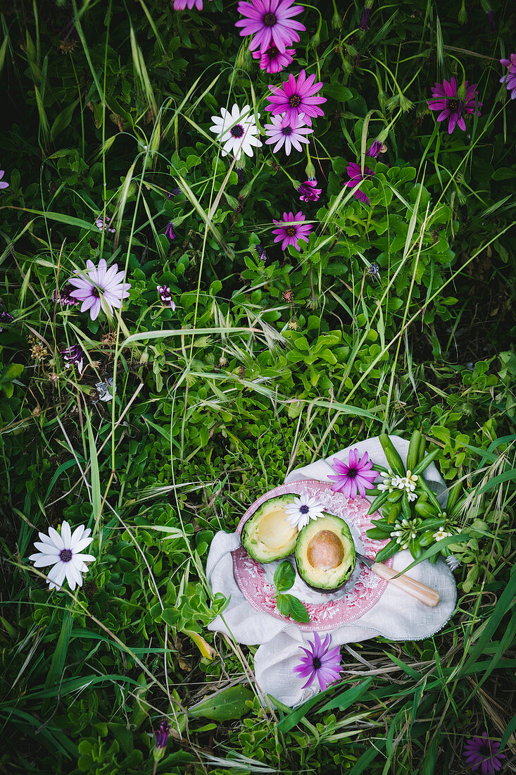 Zwei Avocadohälften auf Teller im Gras