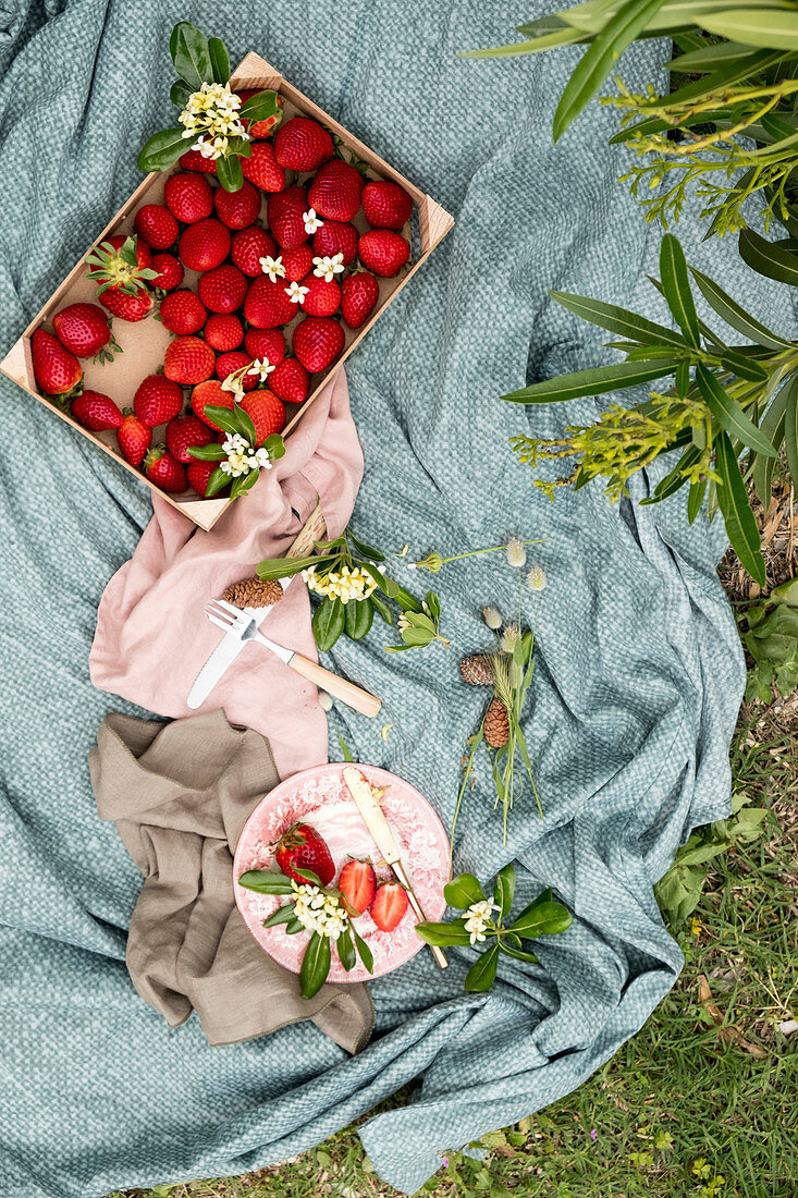 Französische Erdbeeren in Holzkiste auf Picknickdecke