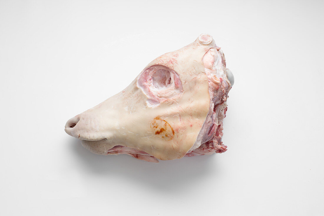 A calf's head