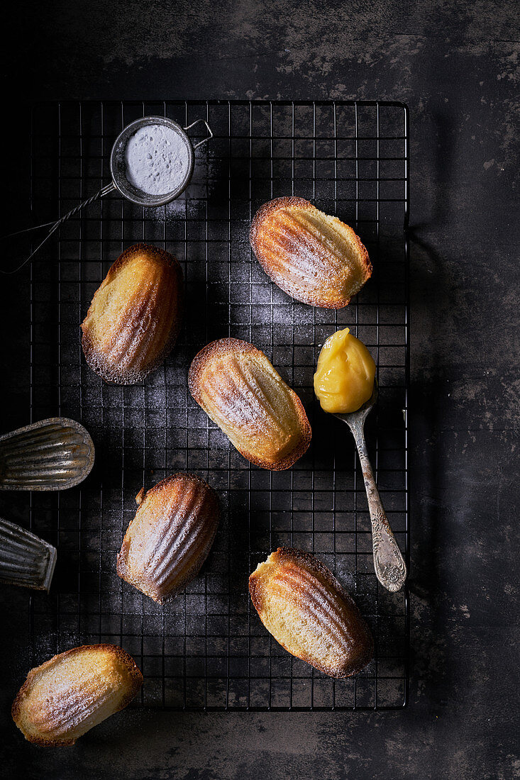 Madeleines with lemon curd and icing sugar, dark background