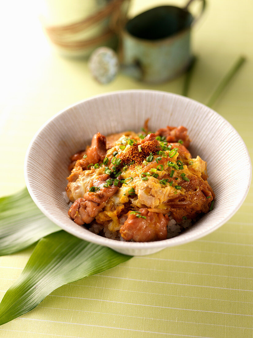 Stir-fried Eggs and Chicken On the Rice (Asia)