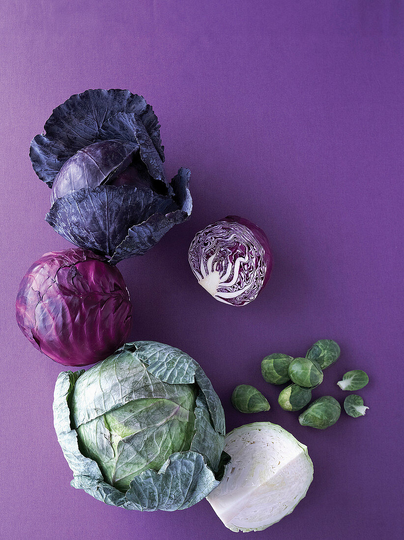 Red Cabbage, Cabbage, Brussels Sprout
