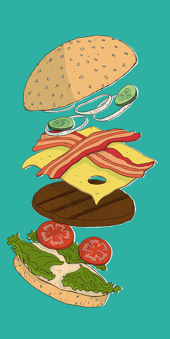 A deconstructed burger (illustration)