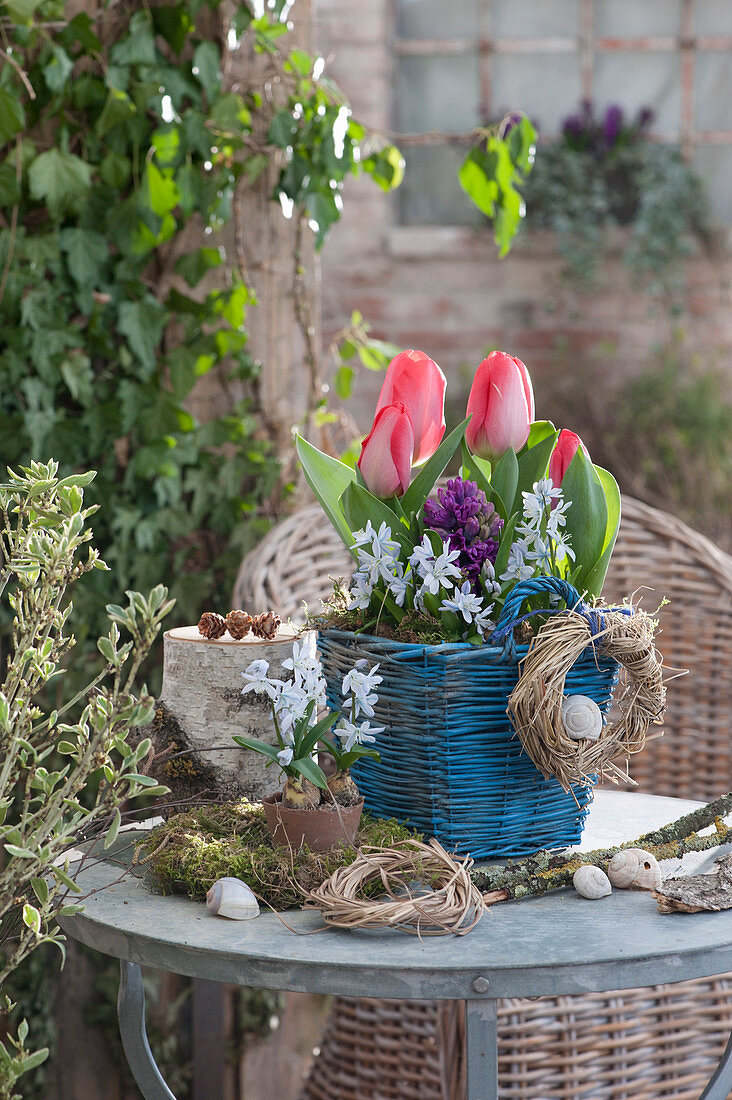 Tulip, Blue Oysters And Hyacinth In The Basket