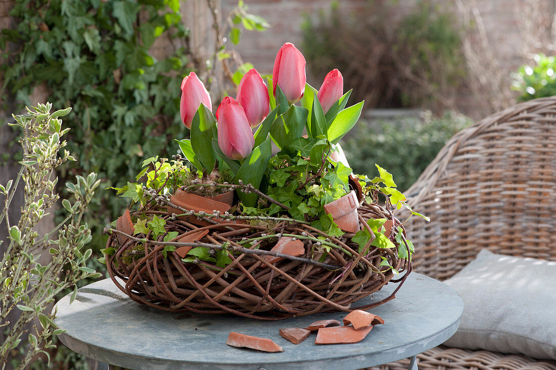 Tulpen in Kranz aus Zweigen