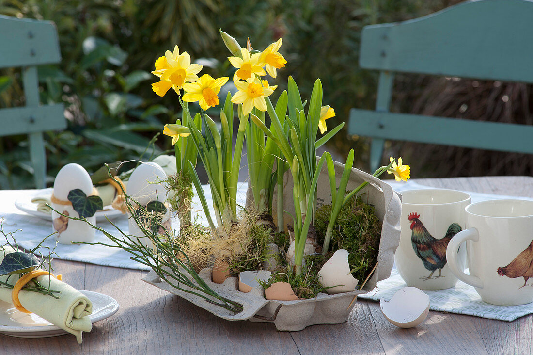 Easter - Table Decoration With Daffodils In Egg Box