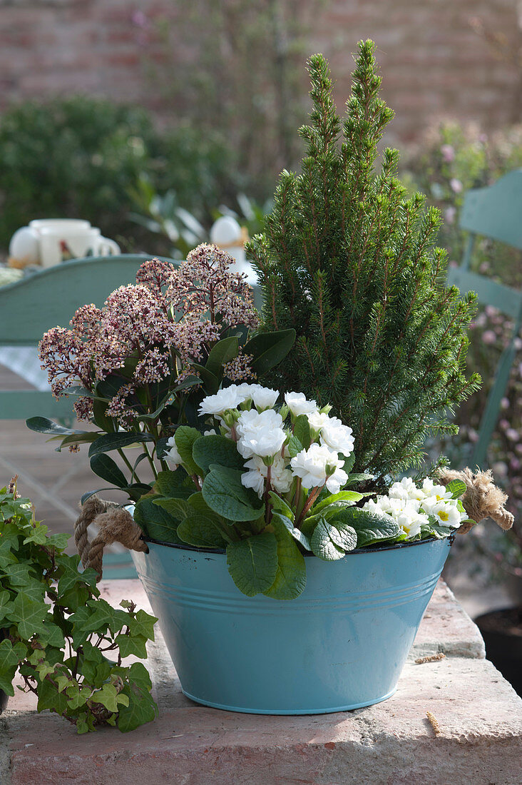 Spring Bowl With Sugarloaf Spruce, Flower Scythe And Primrose