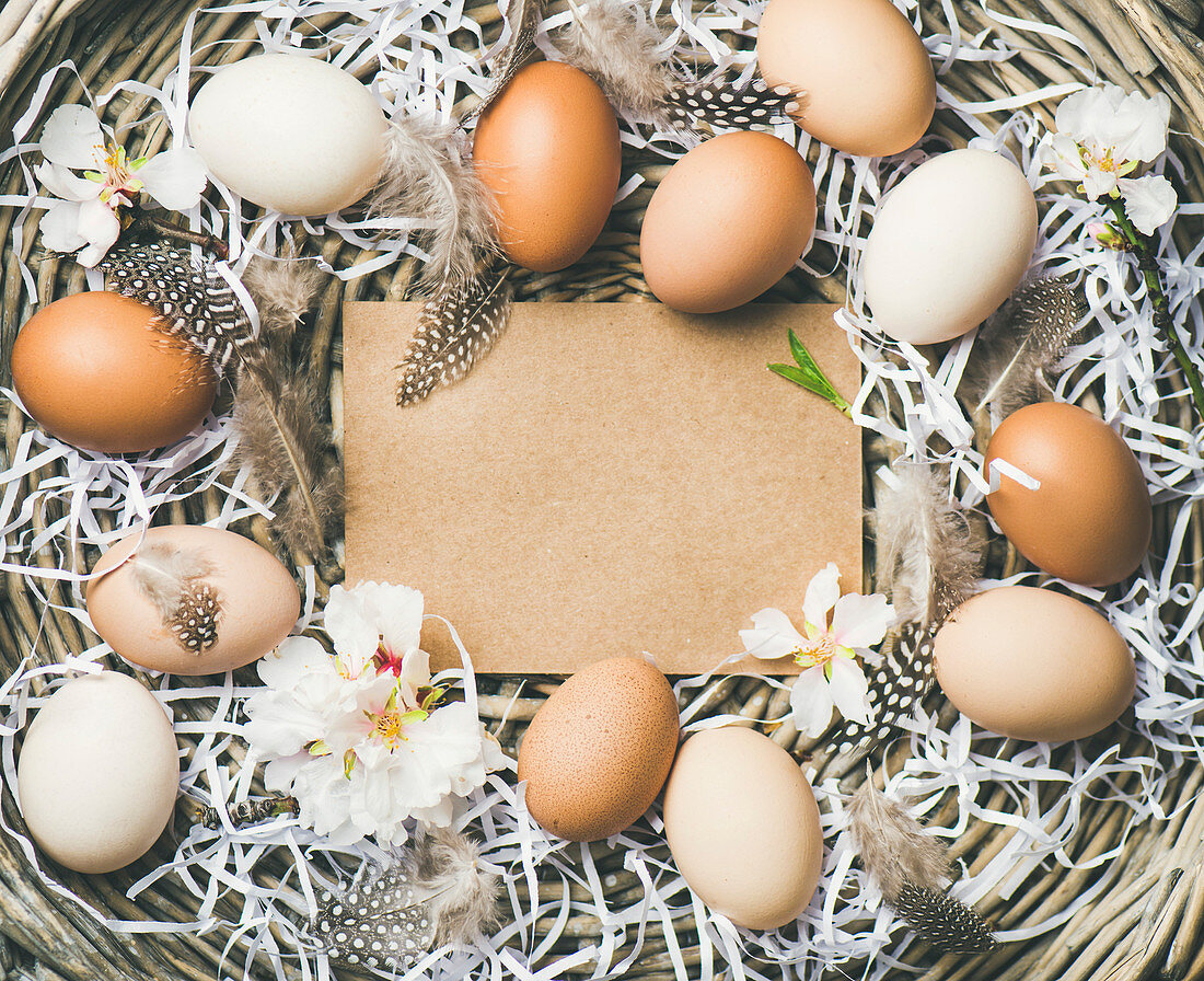 Hühnereier im Korb österlich dekoriert mit Mandelblüten und Federn (Aufsicht)