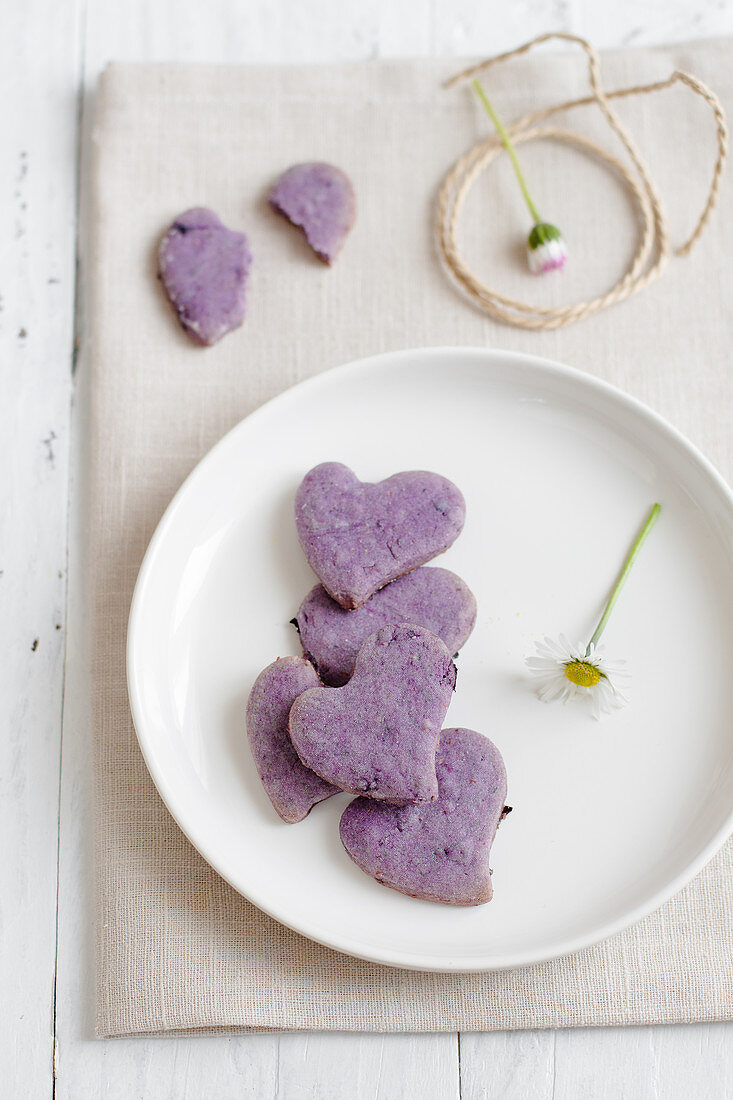 Blueberry Biscuits