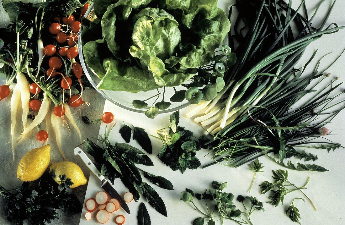 Salatzutaten: Kopfsalat, Lauch, Kräuter, Radieschen, Rettich