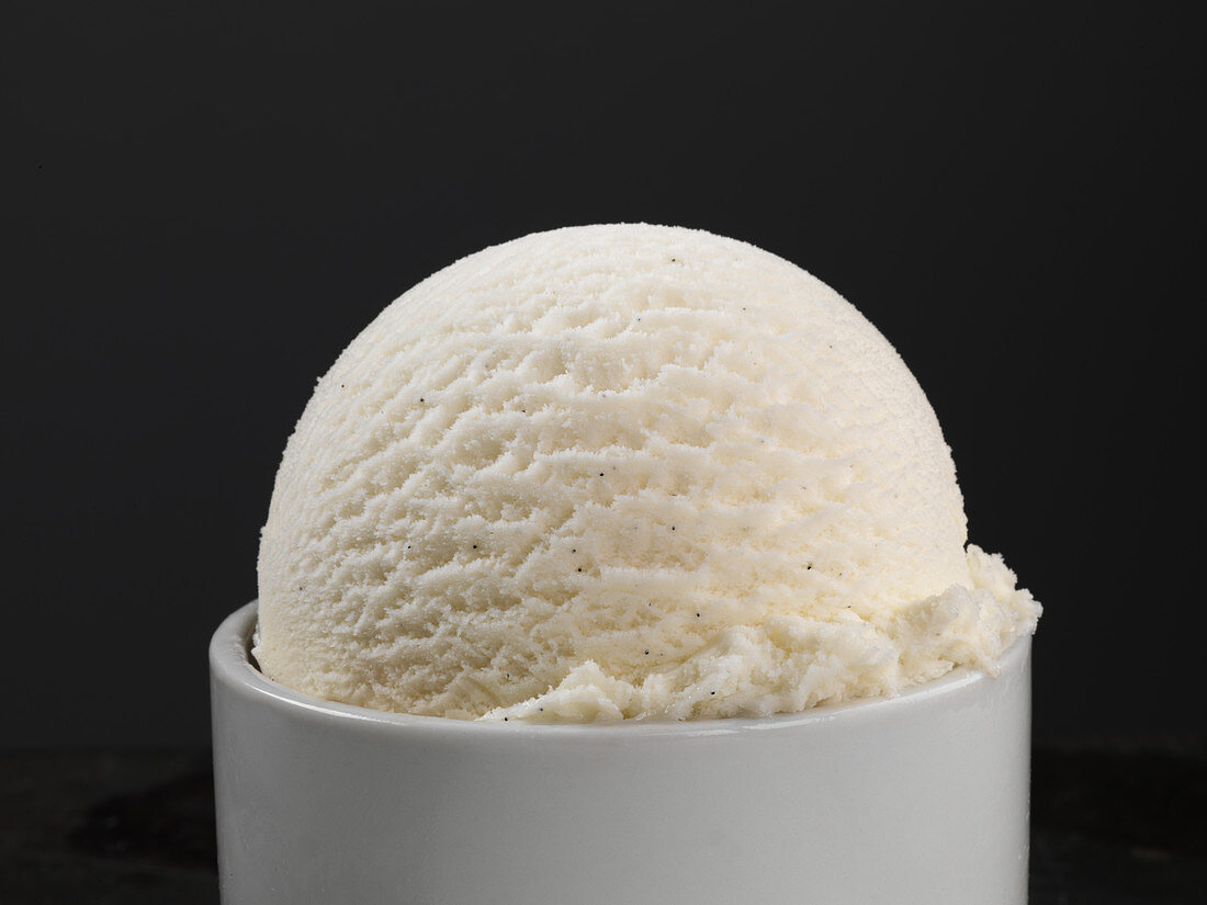 Eine Kugel Frozen Joghurt Eis mit Vanille in Schälchen (Nahaufnahme)