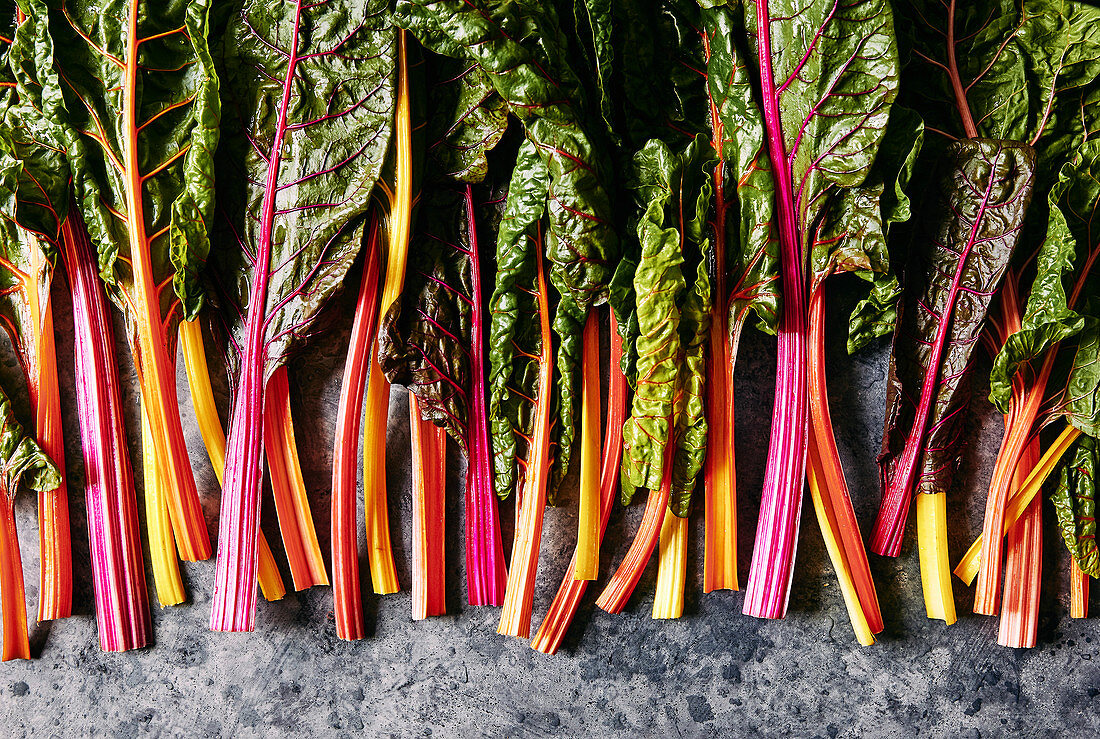 Freshly picked rainbow chard with multicoloured stems
