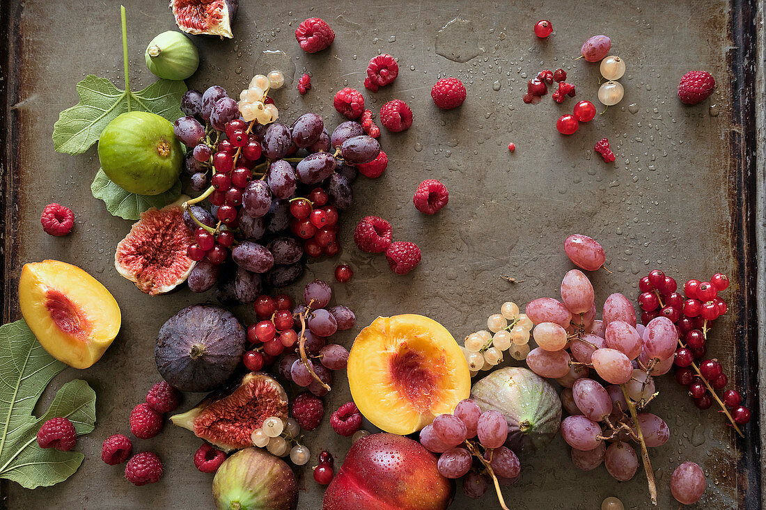 Stillleben mit Früchten (Beeren, Weintrauben, Feigen und Pfirsiche)