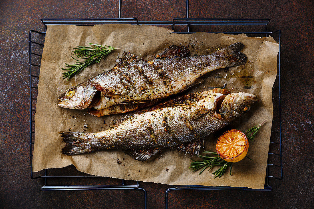 Grilled Fish Sea bass on metal grill grid with lemon and rosemary on dark background