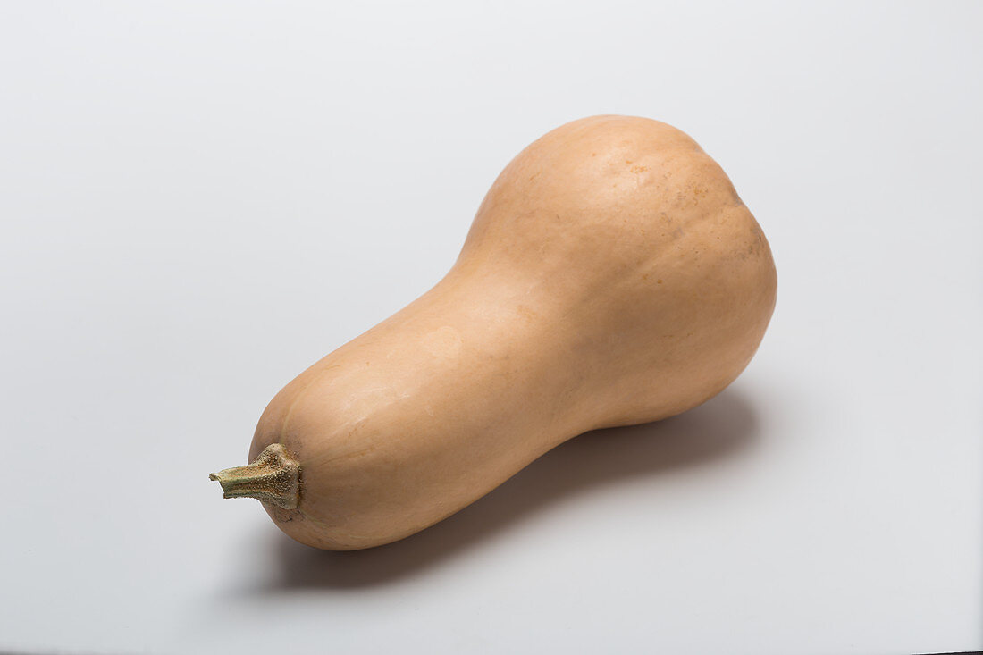 A butternut squash on a white surface