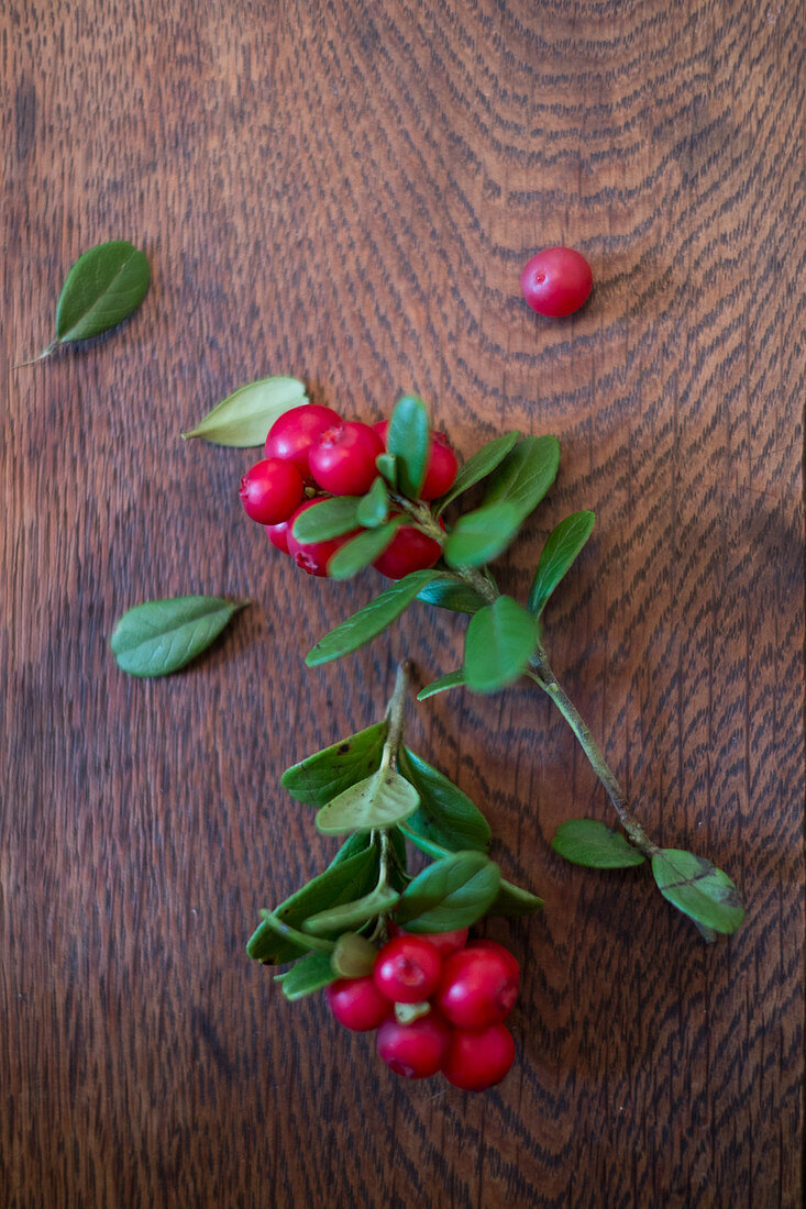 Zwei Zweige mit Preiselbeeren