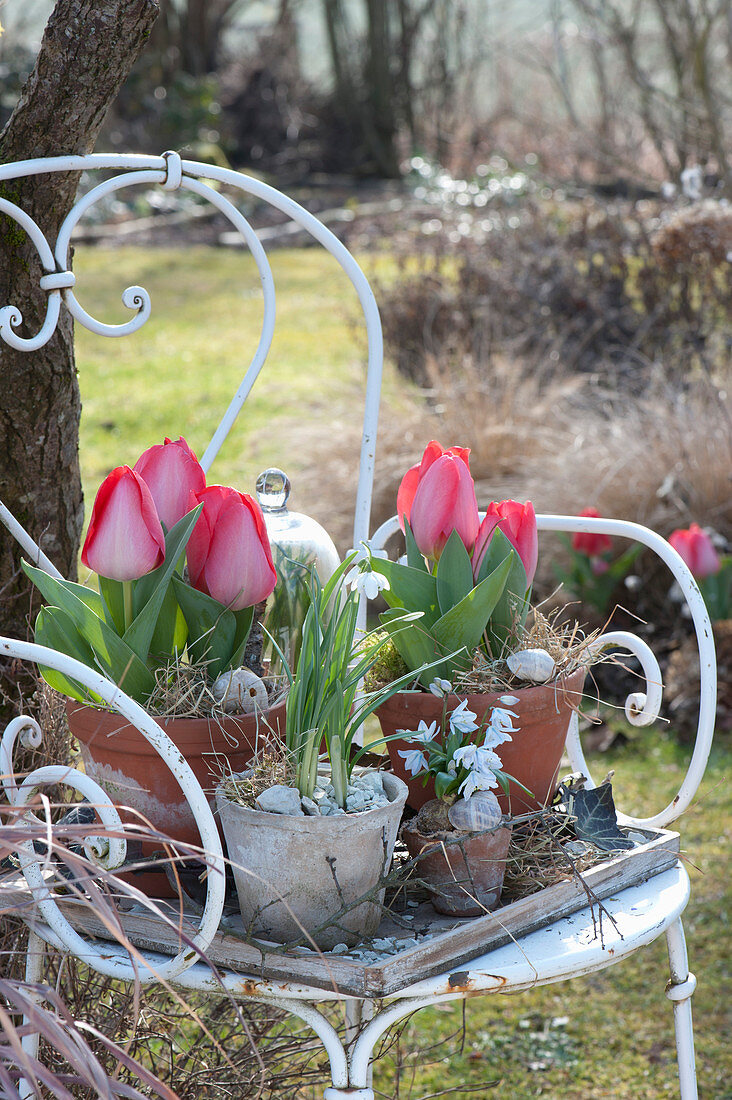 Spring Arrangement With Red Tulips