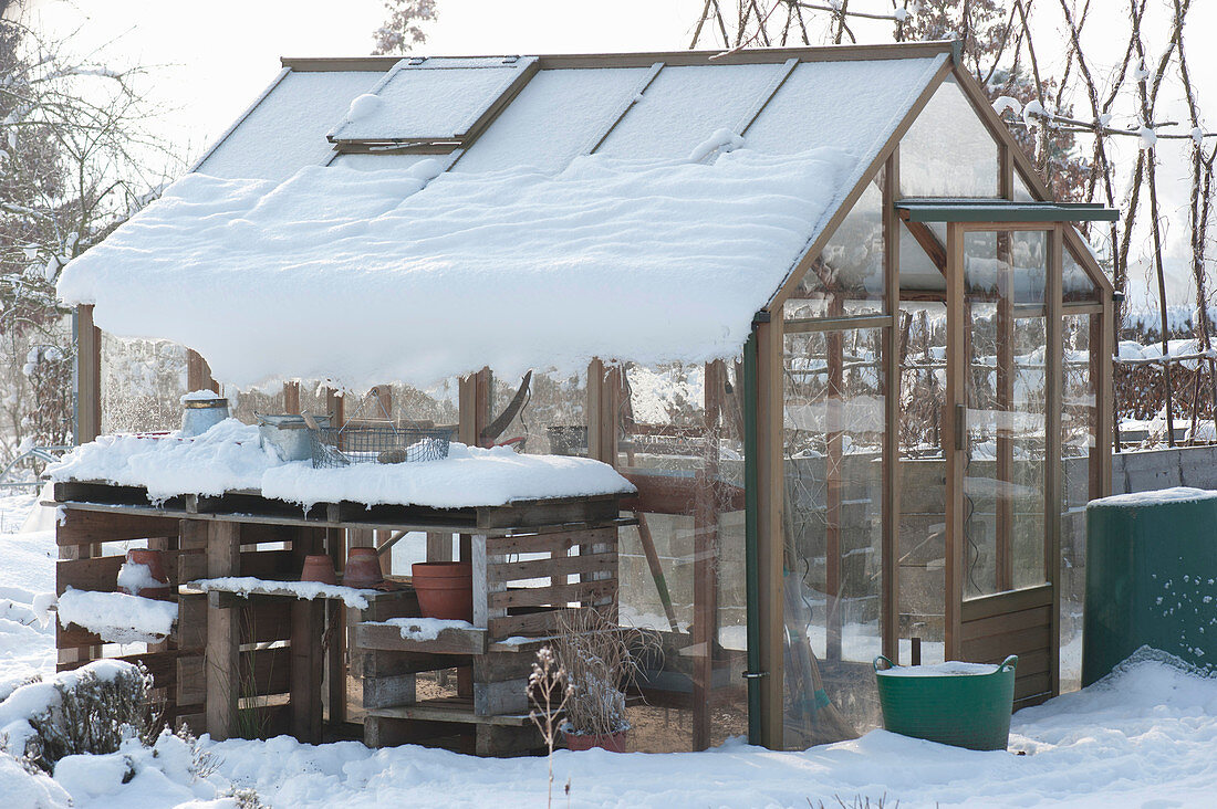 Greenhouse With Snow In Wintry Garden