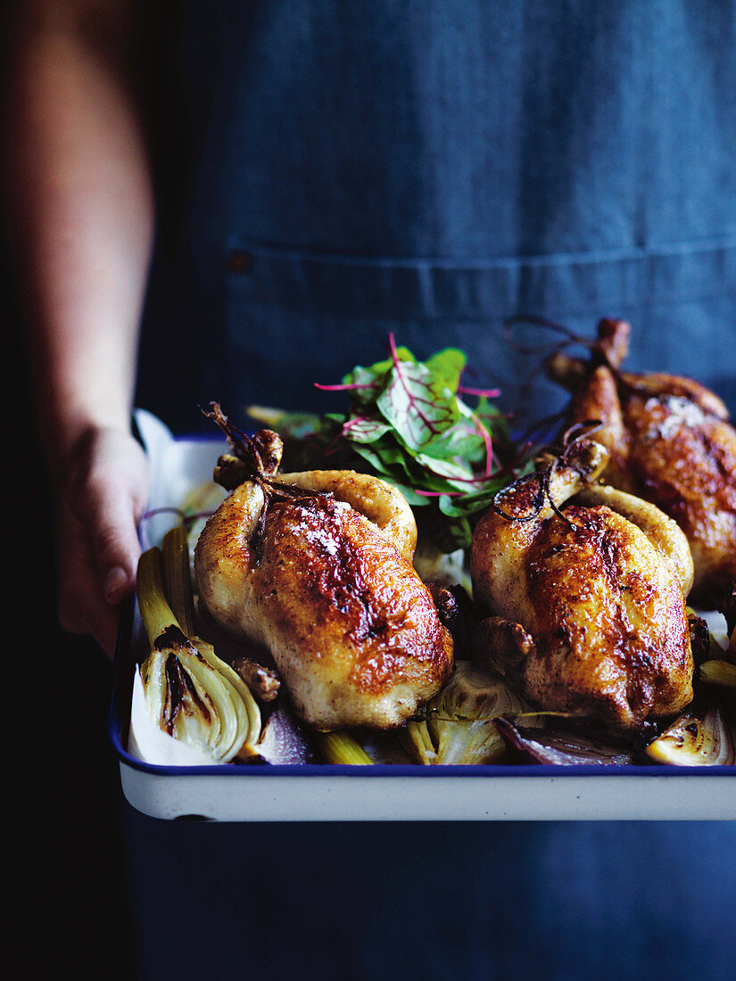 Roast spring chickens with a brioche stuffing on fennel and onions